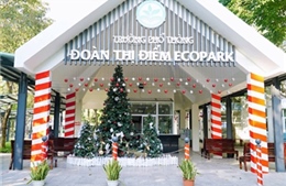 Trên 200 học sinh Trường Đoàn Thị Điểm Ecopark có biểu hiện rối loạn tiêu hóa