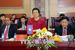 Ủy ban Dân tộc của Quốc hội Lào làm việc với Hội đồng Nhân dân tỉnh Nghệ An