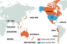 Điểm khác biệt giữa TPP và CPTPP