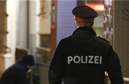 Áo: Nhiều người bị đâm trên đường phố thủ đô