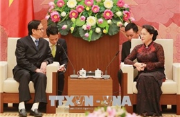 Chủ tịch Quốc hội Nguyễn Thị Kim Ngân tiếp Phó Chủ tịch Quốc hội Myanmar 