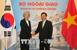 Việt Nam luôn coi trọng phát triển quan hệ với Hàn Quốc