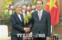 Việt Nam sẵn sàng chào đón chuyến thăm của Tổng thống Hàn Quốc