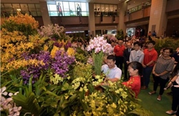 Bồn hoa lớn nhất thế giới tại Singapore