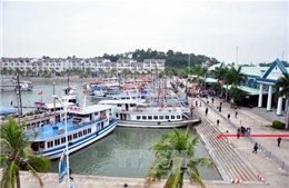 Đình chỉ hoạt động ba tàu du lịch trên vịnh Hạ Long, Quảng Ninh