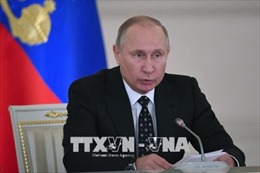 Bầu cử Tổng thống Nga: Bắt đầu cấm công bố kết quả thăm dò dư luận