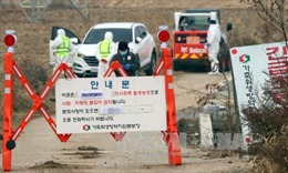 Hàn Quốc phát hiện trường hợp nhiễm cúm gia cầm H5 mới
