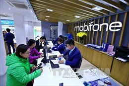 Thanh tra Chính phủ kiến nghị khởi tố điều tra Dự án Mobifone mua 95% cổ phần Công ty AVG 