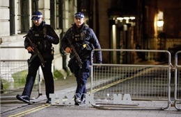 Cảnh sát Anh điều tra gói bưu kiện khả nghi phát hiện tại Nghị viện 