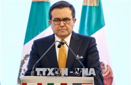 EU và Mexico đạt thỏa thuận sơ bộ về FTA mới