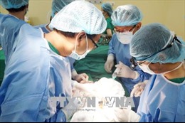 Ca ghép phổi đầu tiên ở Việt Nam từ người cho chết não