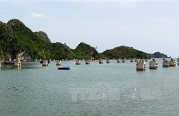 Việt Nam - Trung Quốc đàm phán vòng 9 về vùng biển ngoài cửa Vịnh Bắc Bộ 