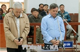 Đổi tội danh cho các bị cáo chiếm đoạt tài sản tại dự án giãn dân phố cổ Hà Nội 