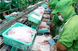 Doanh nghiệp xuất khẩu cá tra-basa Việt Nam vẫn bị áp dụng mức thuế chống bán phá giá rất cao 