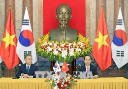 Chủ tịch nước Trần Đại Quang và Tổng thống Hàn Quốc Moon Jae-in chủ trì họp báo