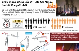 Vụ cháy nghiêm trọng tại TP. Hồ Chí Minh: Các nạn nhân chết chủ yếu do ngạt khói