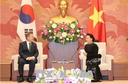 Nâng cấp quan hệ Đối tác hợp tác chiến lược Việt Nam - Hàn Quốc toàn diện trên nhiều lĩnh vực