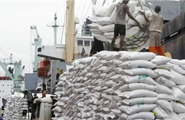  Xuất khẩu gạo Thái Lan năm 2018 dự báo giảm mạnh 