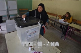  Ai Cập tiến hành bầu cử tổng thống