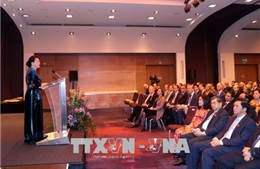 Chủ tịch Quốc hội dự Lễ kỷ niệm 45 năm thiết lập quan hệ ngoại giao Việt Nam - Hà Lan