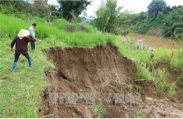 Xử lý vấn nạn &#39;cát tặc&#39; ở hai tỉnh Bình Phước và Lâm Đồng