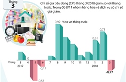 Chỉ số giá tiêu dùng tháng 3 giảm 0,27%