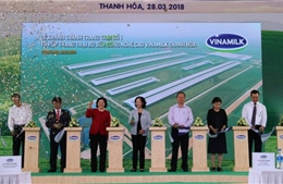 Khánh thành Tổ hợp trang trại bò sữa công nghệ cao Vinamilk tại Thanh Hóa 