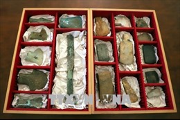 Việt Nam tiếp nhận nhiều cổ vật từ cảnh sát Đức 