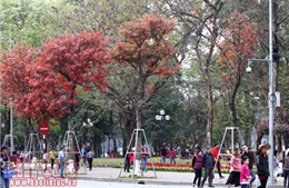 Miền Bắc đêm có mưa vài nơi, sáng có sương mù nhẹ 