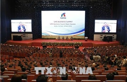 Khai mạc Phiên họp mở rộng Hội đồng Kinh doanh hợp tác tiểu vùng Mekong mở rộng