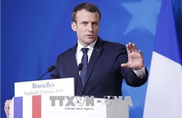 Pháp phủ nhận lên kế hoạch chiến dịch quân sự tại miền Bắc Syria