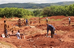 Người dân Zimbabwe đổ về nông trang của cựu đệ nhất phu nhân để đào vàng