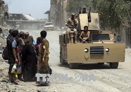 Giới phân tích nhận định IS đang tìm cách quay lại Iraq