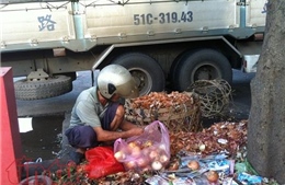 TP Hồ Chí Minh đẩy mạnh việc phân loại rác thải rắn tại nguồn