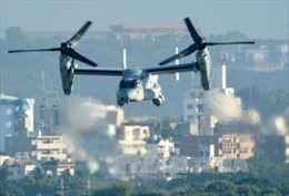 Mỹ đẩy nhanh việc triển khai máy bay Osprey tới căn cứ Yokota của Nhật Bản
