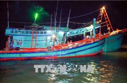 Tàu vỏ sắt không rõ quốc tịch đâm chìm 2 tàu cá Nghệ An
