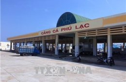 Phú Yên: Nhiều bất cập trong việc thuê mặt bằng Cảng cá Phú Lạc 
