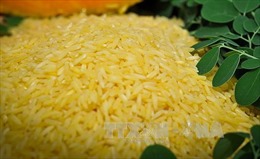 Indonesia nỗ lực hiện đại hóa ngành lúa gạo 
