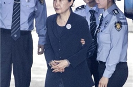 Phản ứng của các đảng về phán quyết đối với cựu Tổng thống Park Geun-hye 