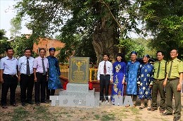 Ba cây Bằng lăng nước ở An Giang được công nhận là Cây di sản Việt Nam 