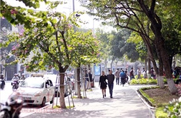 Từ ngày 8/4, Bắc bộ trời ấm dần 