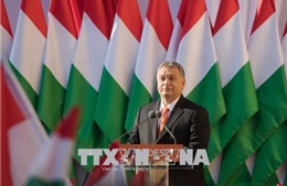 Bầu cử Quốc hội Hungary: Tổng thống V.Orban tuyên bố chiến thắng 