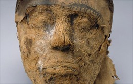 FBI tìm lời giải cho thủ cấp xác ướp 4.000 năm tuổi