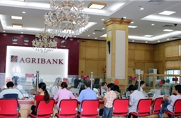 Agribank Long An- 30 năm gắn bó thủy chung  