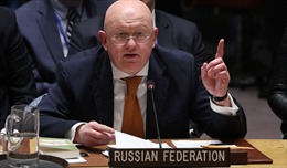 Nga phủ quyết dự thảo nghị quyết về Syria của Mỹ
