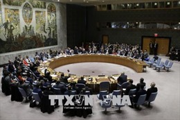 HĐBA Liên hợp quốc không thể thông qua các dự thảo nghị quyết về Syria