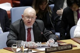 Nga kêu gọi Mỹ kiềm chế trong vấn đề Syria