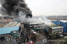 Hàn Quốc: Hỏa hoạn tại một nhà máy xử lý hóa chất