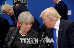 Tổng thống Mỹ điện đàm với lãnh đạo Anh, Pháp về cuộc không kích Syria 