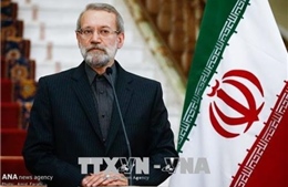 Chủ tịch Quốc hội Cộng hòa Hồi giáo Iran bắt đầu thăm chính thức Việt Nam 
